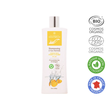 shampooing-cheveux-secs