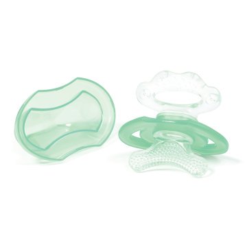 anneau dentition_vert