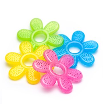 Fleur de dentition réfrigérante