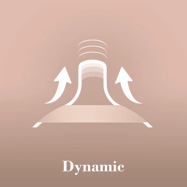 2-Dynamic